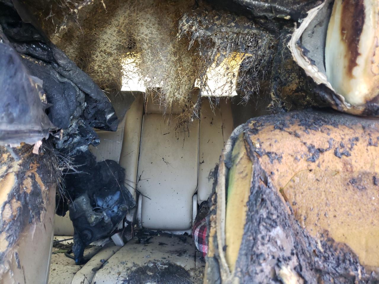 2012 Kia Sorento Ex VIN: 5XYKU3A62CG276860 Lot: 57815384