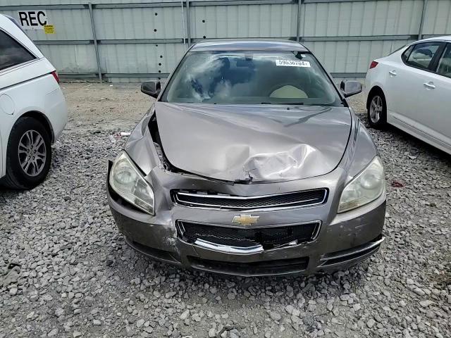 2010 Chevrolet Malibu 1Lt VIN: 1G1ZC5EB3AF305702 Lot: 59036704