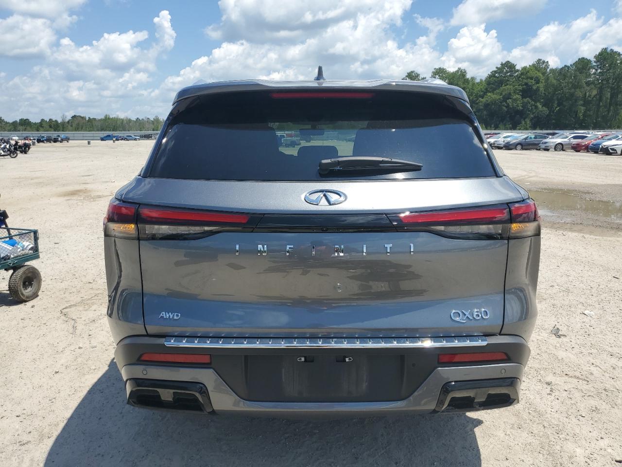 2023 Infiniti Qx60 Luxe VIN: 5N1DL1FS1PC361586 Lot: 57611024