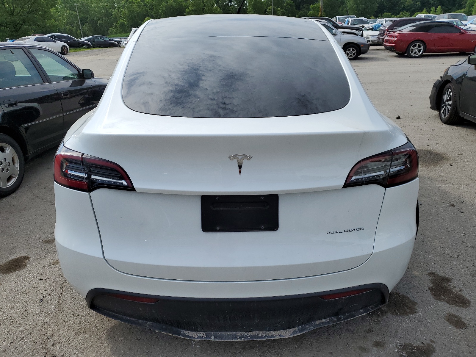 7SAYGDEE4PF813141 2023 Tesla Model Y