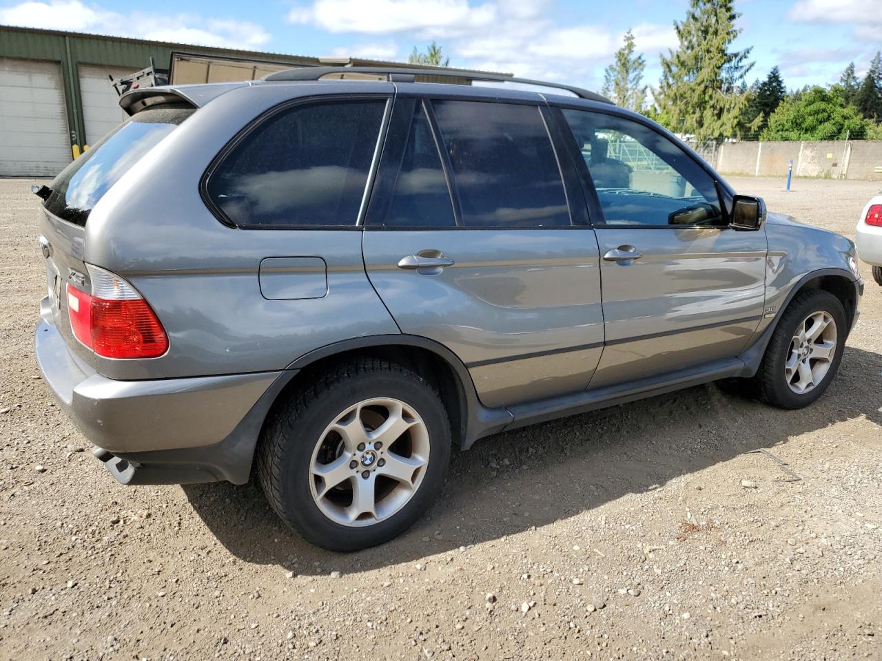 2005 BMW X5 3.0I VIN: 5UXFA13555LU46623 Lot: 61165664