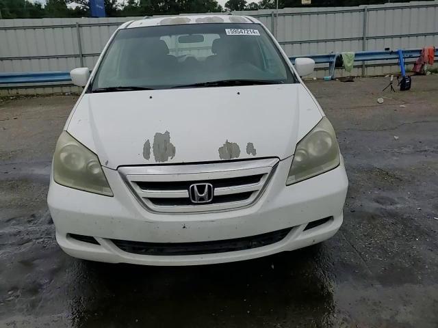 2007 Honda Odyssey Ex VIN: 5FNRL38447B403532 Lot: 59547214