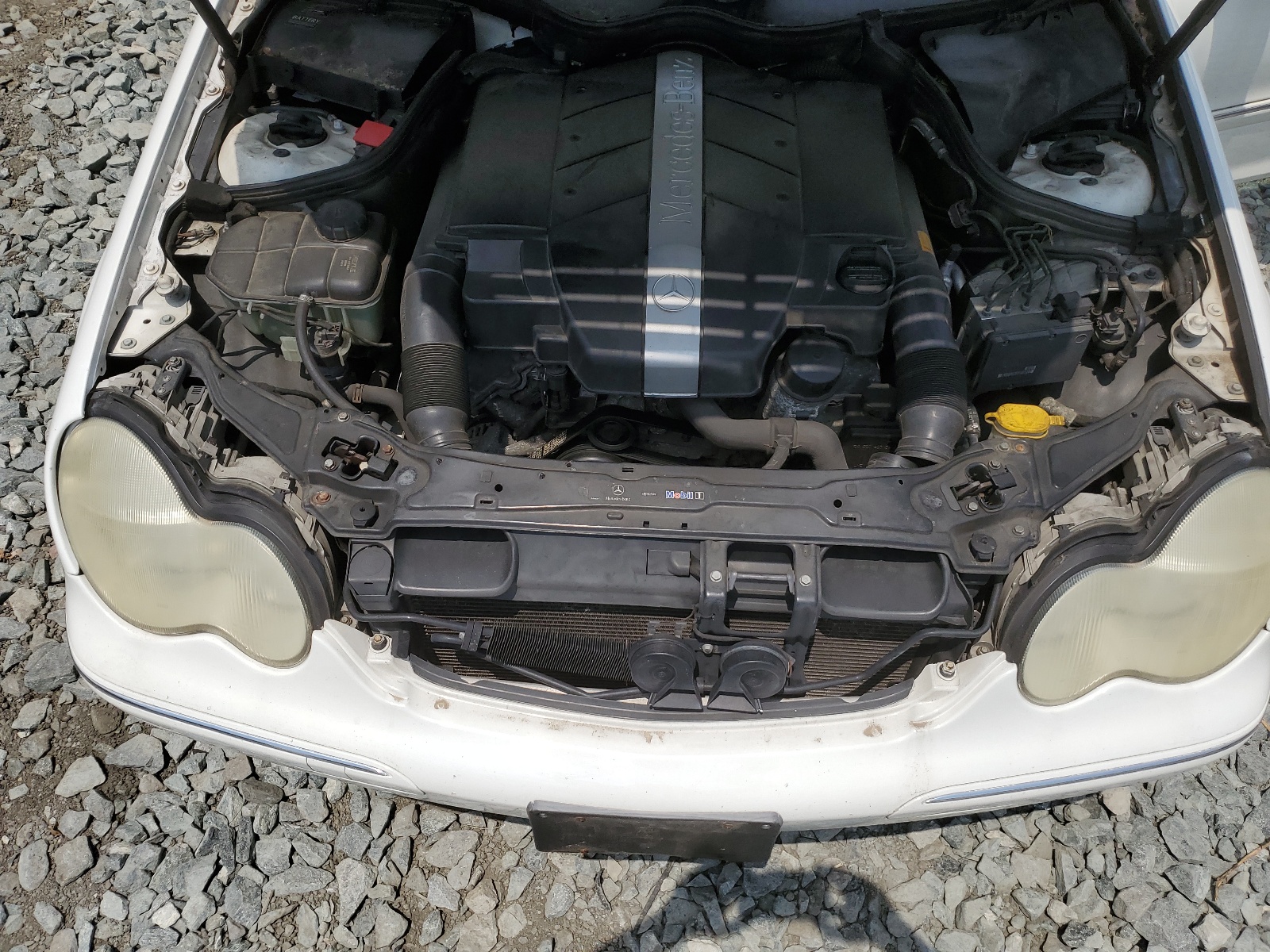 WDBRF61J64F476948 2004 Mercedes-Benz C 240