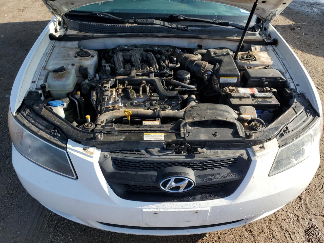 2006 Hyundai Sonata Gls VIN: 5NPEU46F56H124502 Lot: 57425914