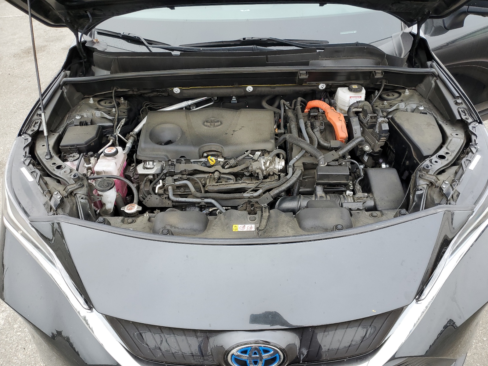 JTEAAAAH4PJ125580 2023 Toyota Venza Le