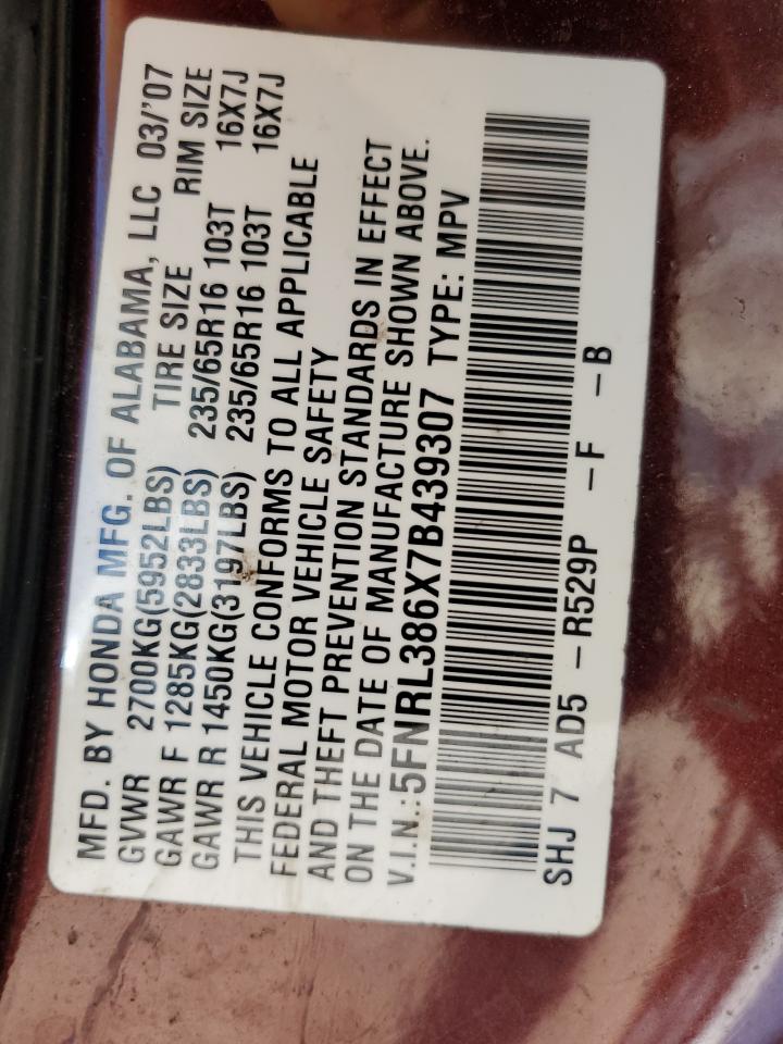 2007 Honda Odyssey Exl VIN: 5FNRL386X7B439307 Lot: 58784564