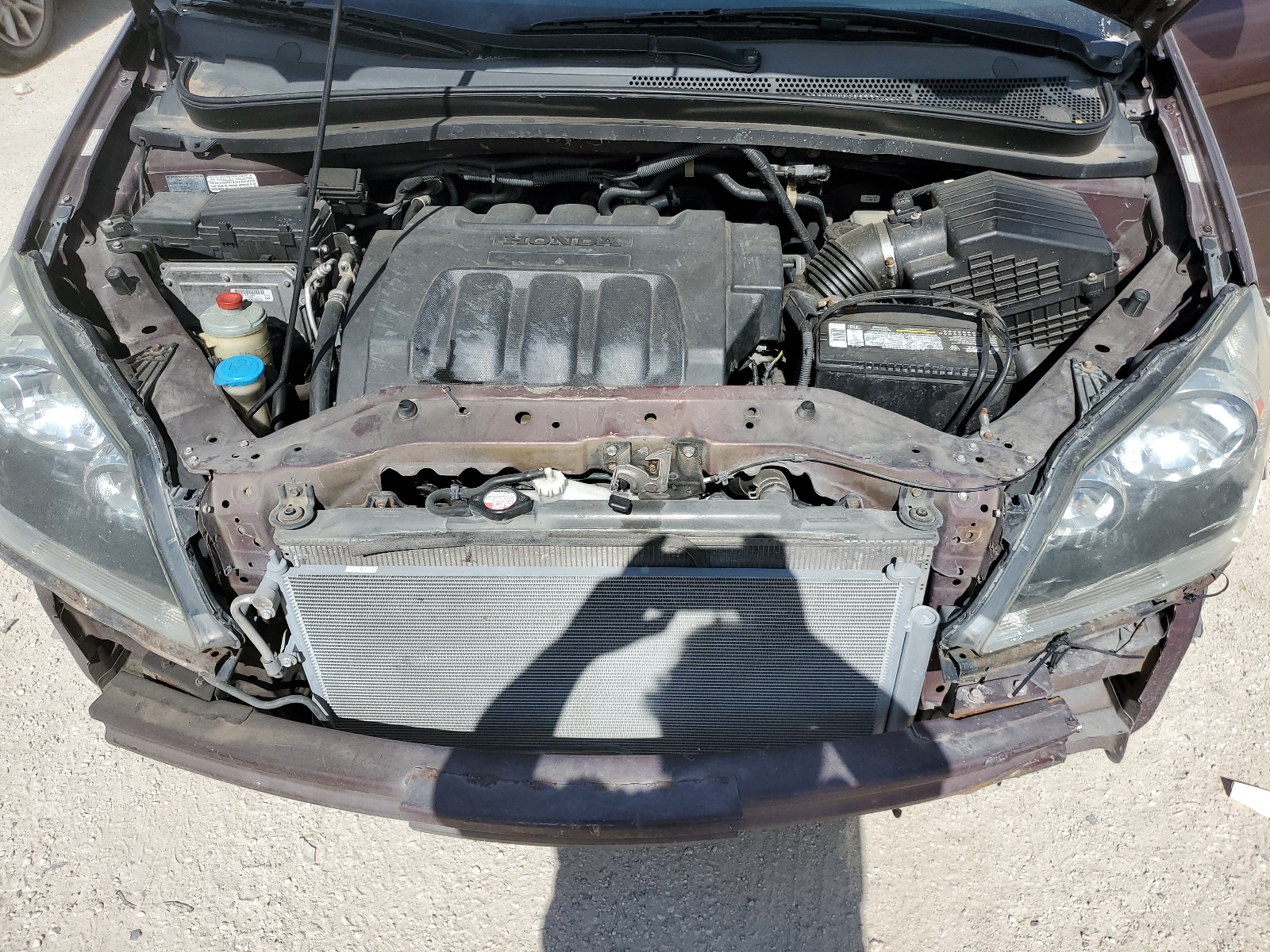 5FNRL38437B084317 2007 Honda Odyssey Ex