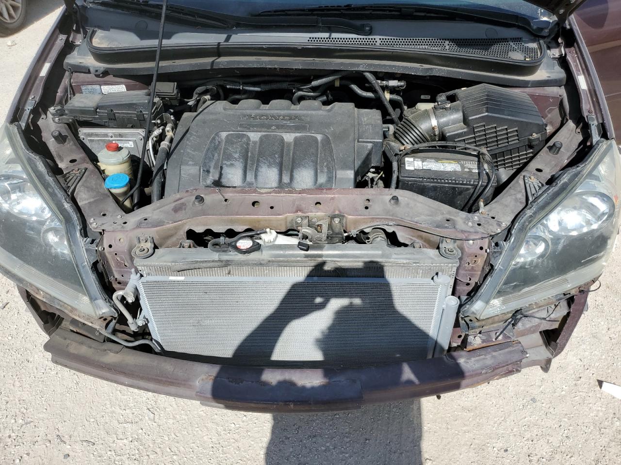 2007 Honda Odyssey Ex VIN: 5FNRL38437B084317 Lot: 60018834