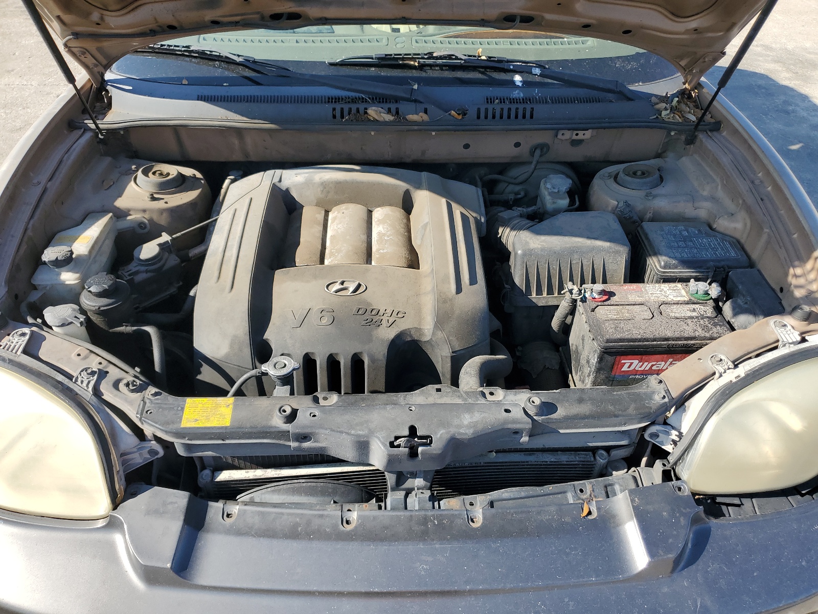 KM8SC13DX2U275161 2002 Hyundai Santa Fe Gls