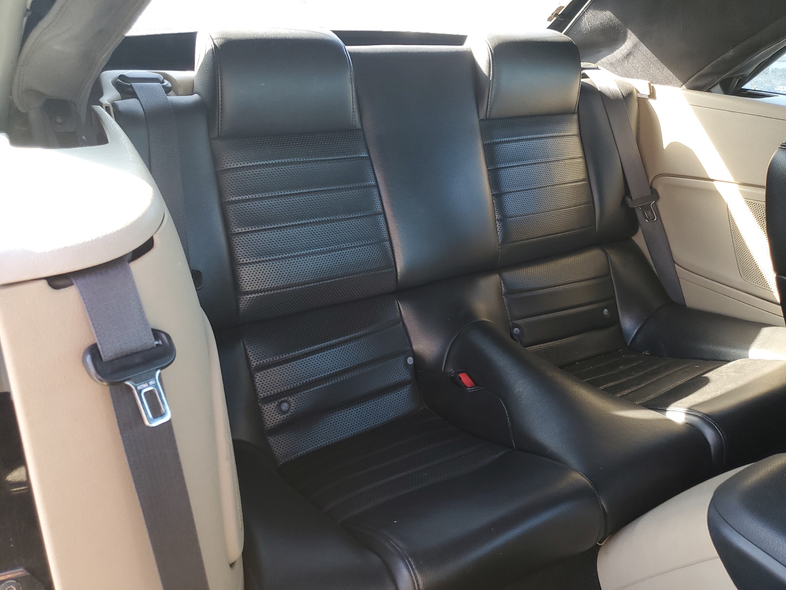 1ZVHT85H975319253 2007 Ford Mustang Gt