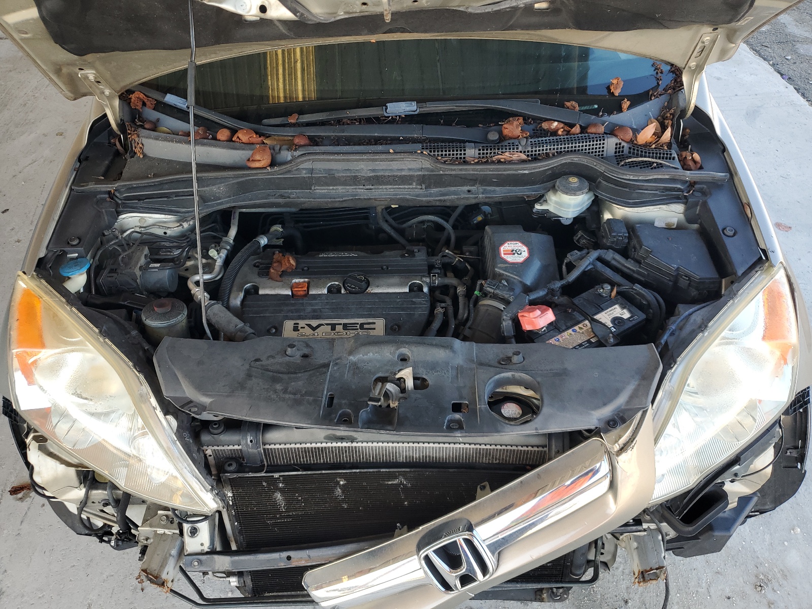 JHLRE38707C066507 2007 Honda Cr-V Exl