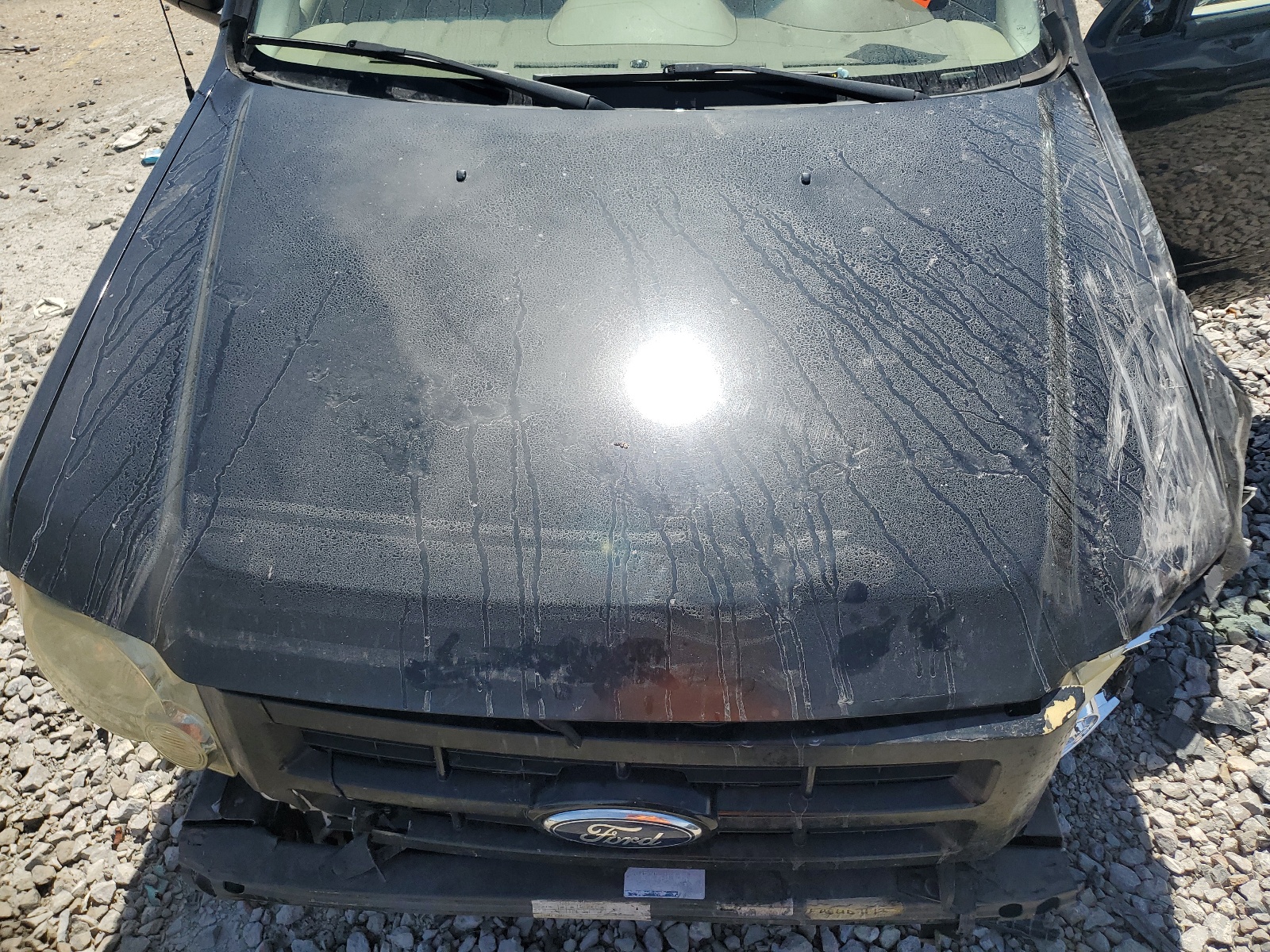 1FMCU0DG7CKB06233 2012 Ford Escape Xlt