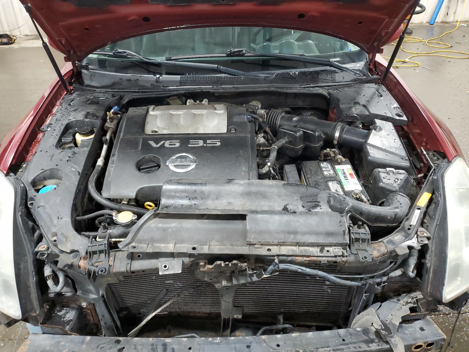 1N4BA41E54C836324 2004 Nissan Maxima Se