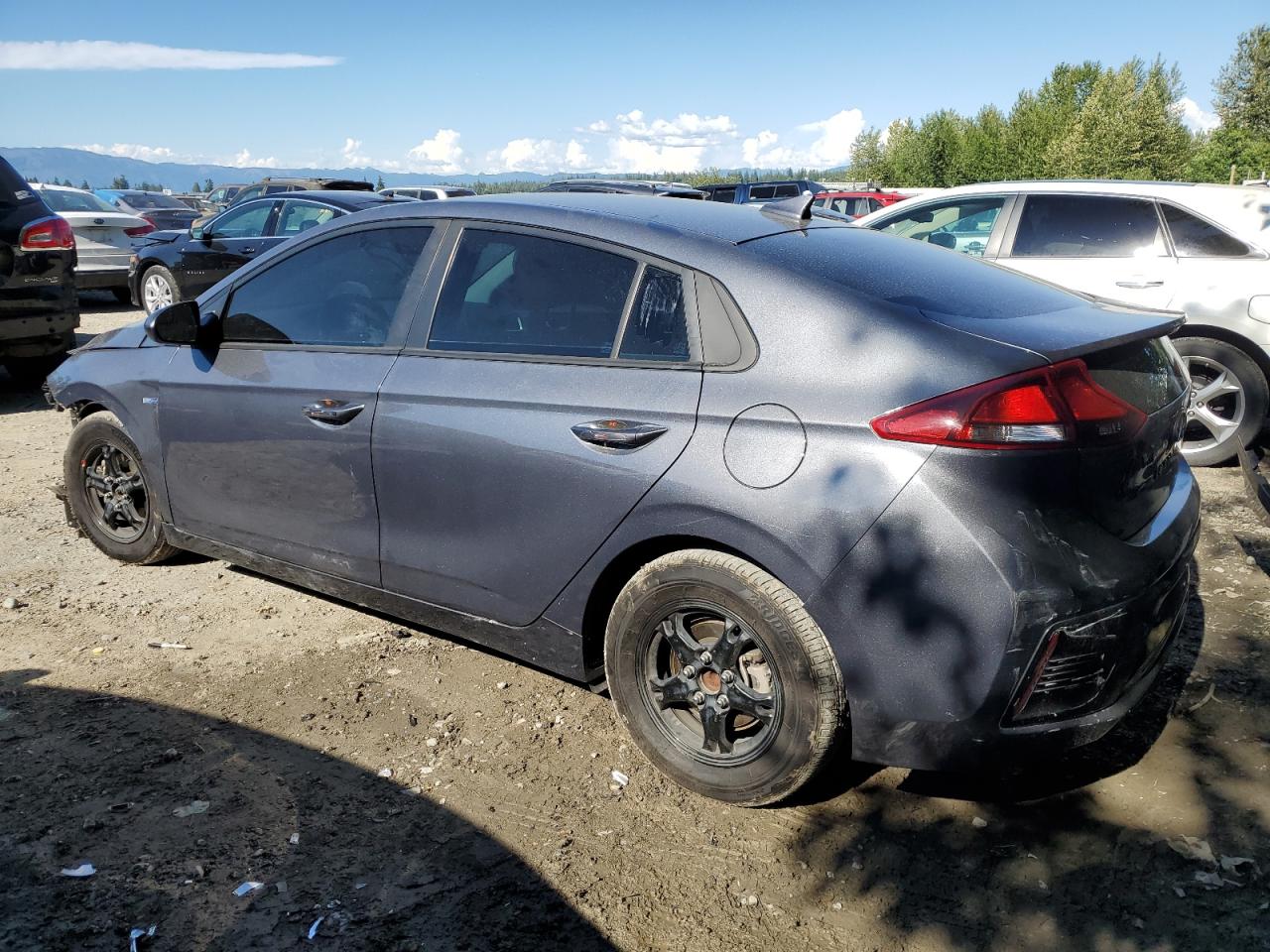 2019 Hyundai Ioniq Blue VIN: KMHC65LC9KU162697 Lot: 59895054