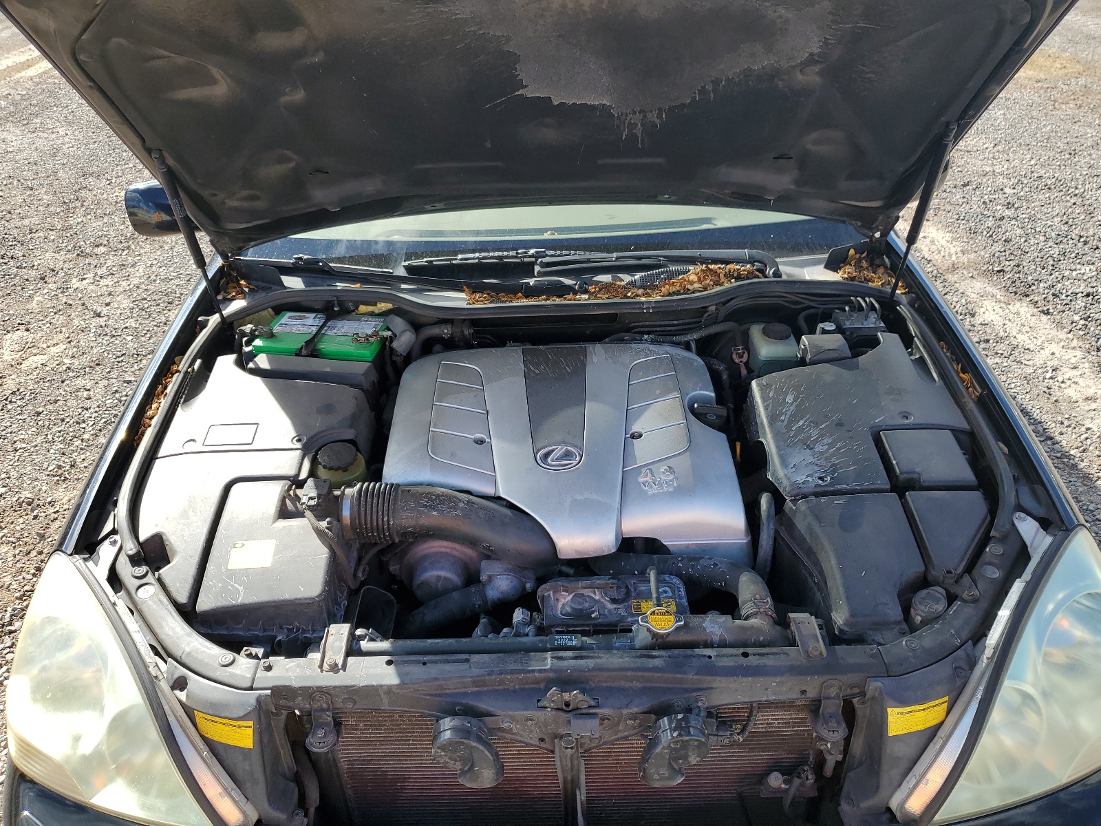 JTHBN30F630095232 2003 Lexus Ls 430