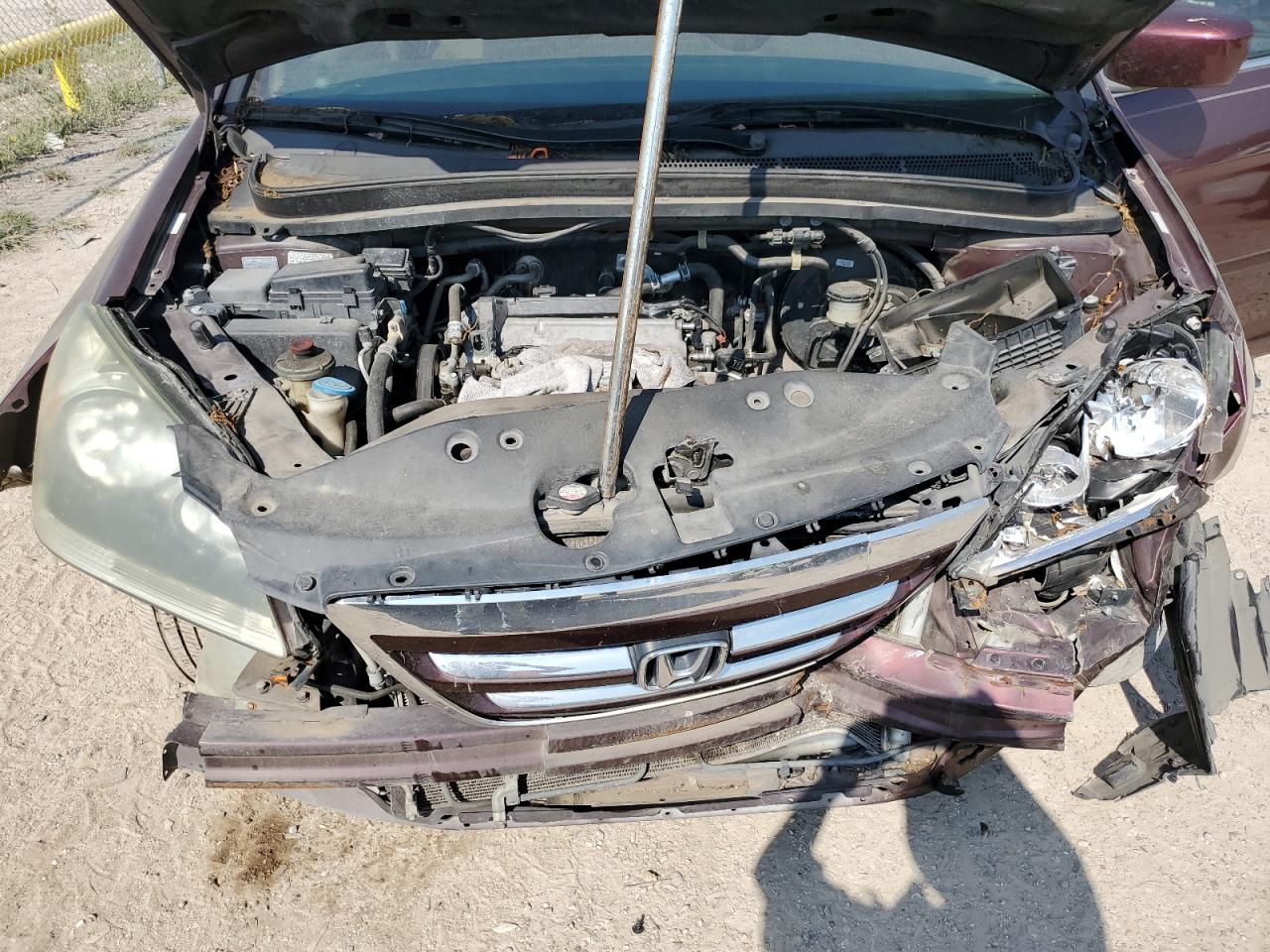 2007 Honda Odyssey Exl VIN: 5FNRL386X7B439307 Lot: 58784564