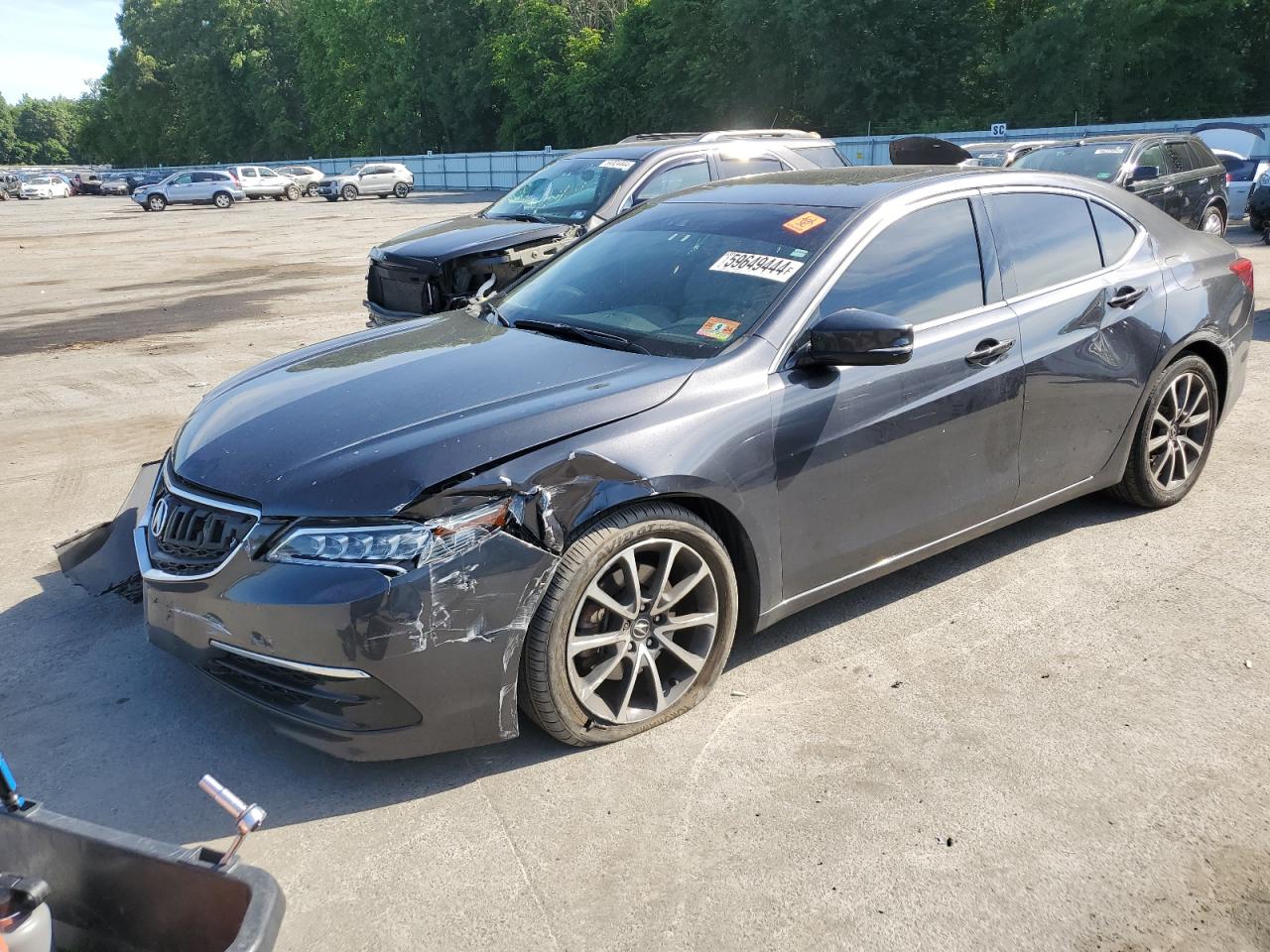 2015 Acura Tlx Tech VIN: 19UUB2F51FA011166 Lot: 59649444