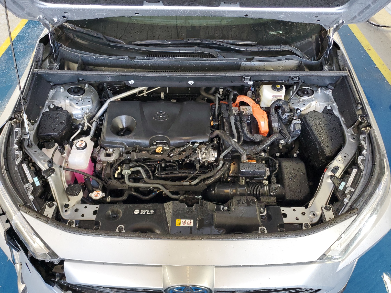 2T3RWRFV9RW194260 2024 Toyota Rav4 Xle