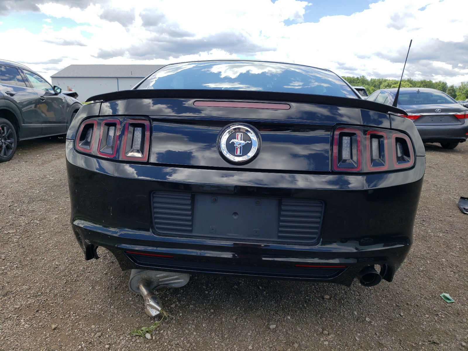 1ZVBP8AM8E5325796 2014 Ford Mustang