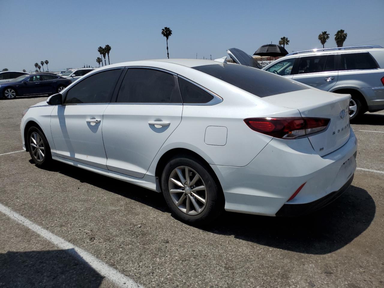 2019 Hyundai Sonata Se VIN: 5NPE24AF6KH742922 Lot: 59829364