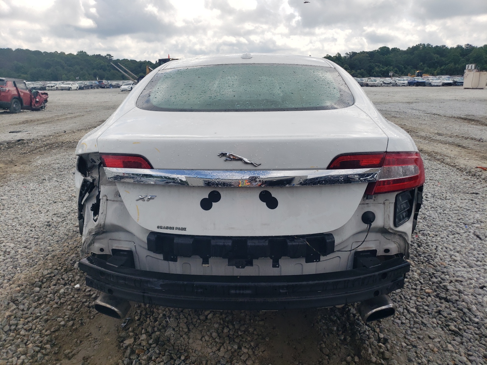 SAJWA0FB5BLR81591 2011 Jaguar Xf