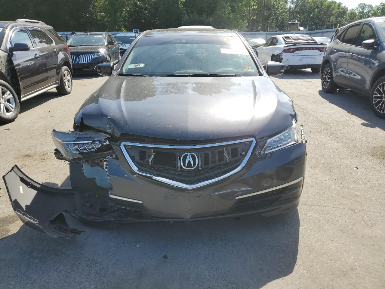 2015 Acura Tlx Tech VIN: 19UUB2F51FA011166 Lot: 59649444