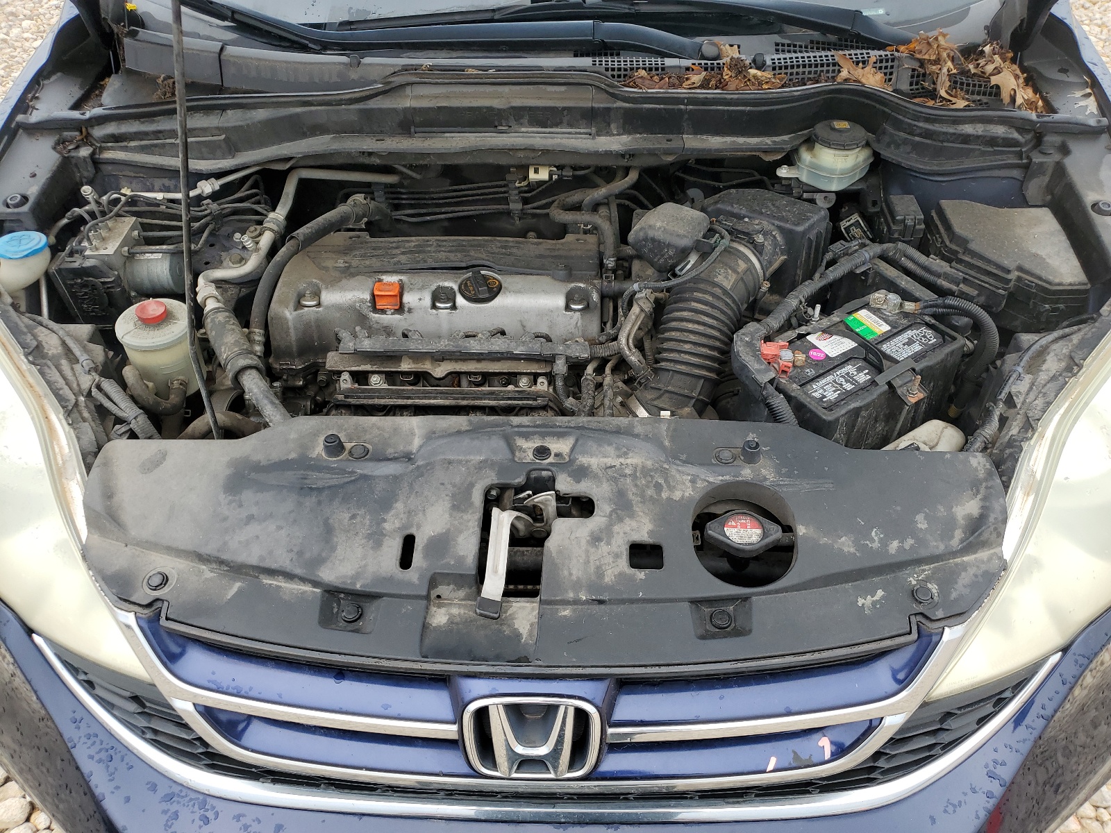 5J6RE3H79AL003436 2010 Honda Cr-V Exl