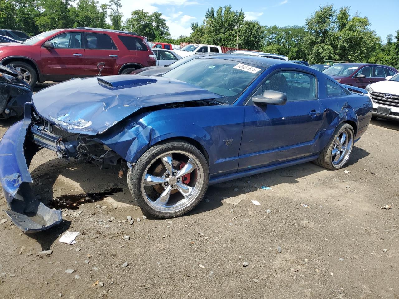 1ZVHT82HX95113902 2009 Ford Mustang Gt