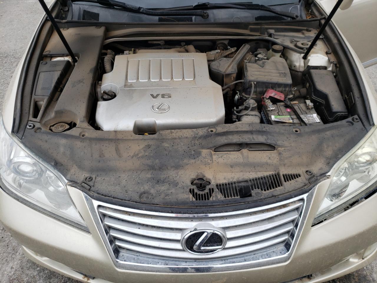 2010 Lexus Es 350 VIN: JTHBK1EG3A2402453 Lot: 54005504