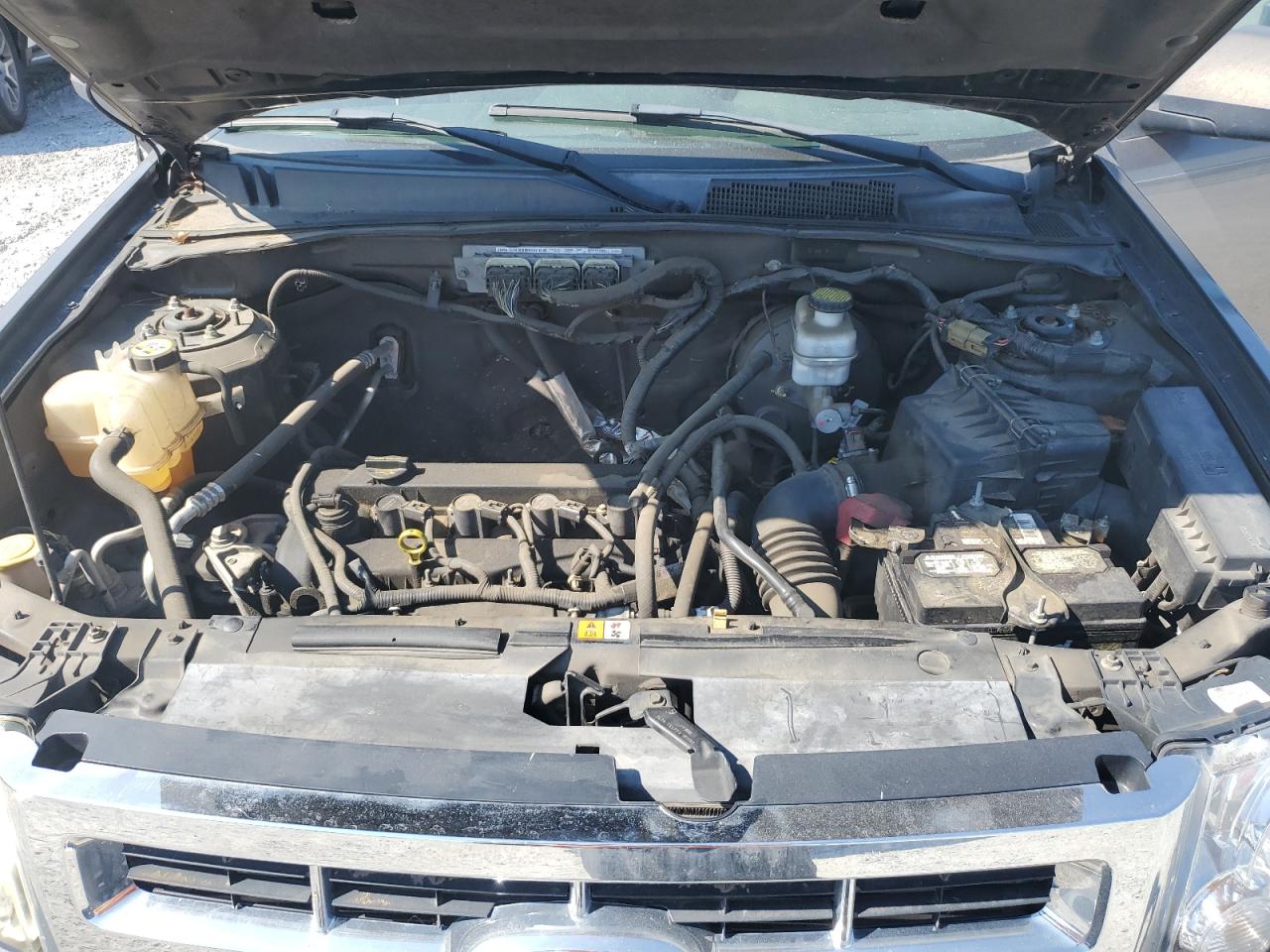 2011 Ford Escape Xlt VIN: 1FMCU0D76BKA31328 Lot: 59930824