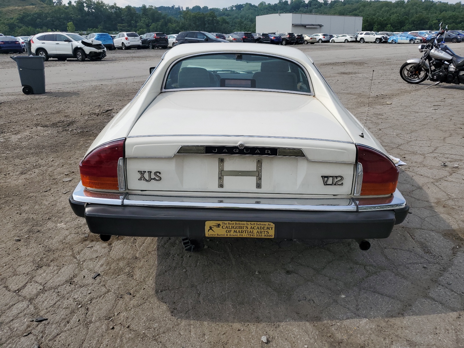 SAJNA5841KC150225 1989 Jaguar Xjs