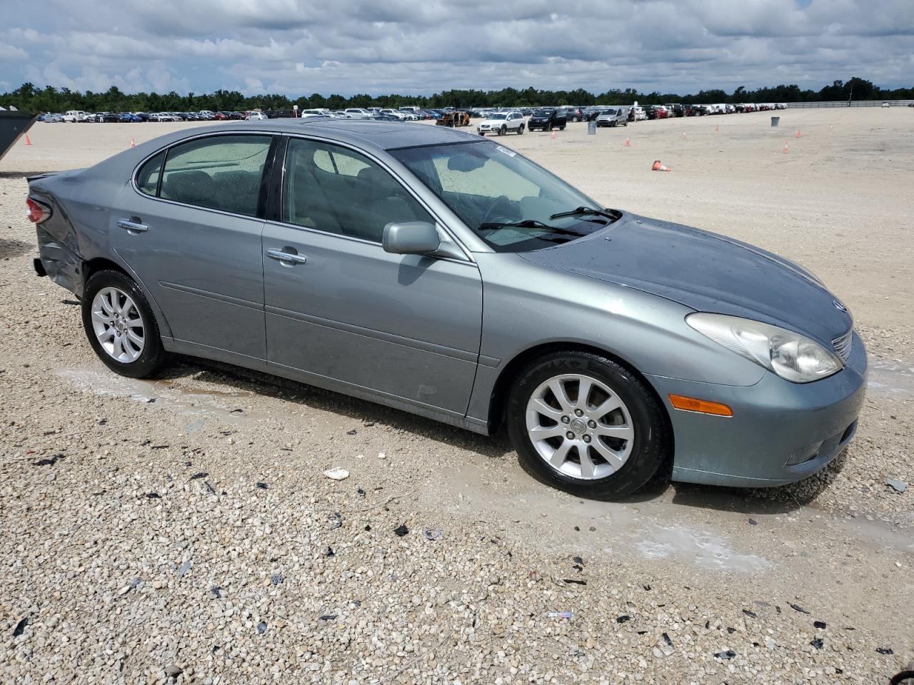 2002 Lexus Es 300 VIN: JTHBF30G020019557 Lot: 60489804