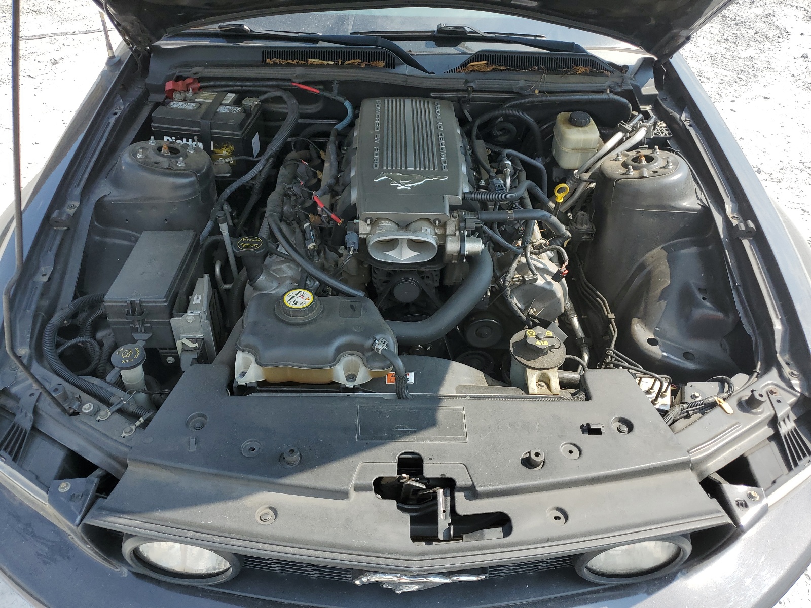 1ZVHT85H685101272 2008 Ford Mustang Gt