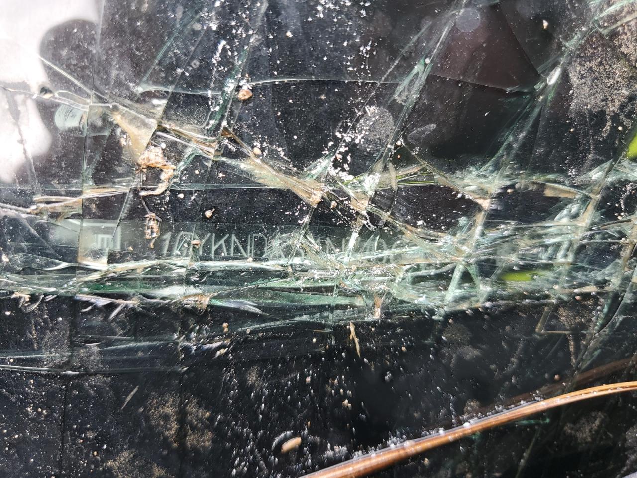 2022 Cadillac Xt5 Premium Luxury VIN: 1GYKNDRS4NZ106504 Lot: 57653374