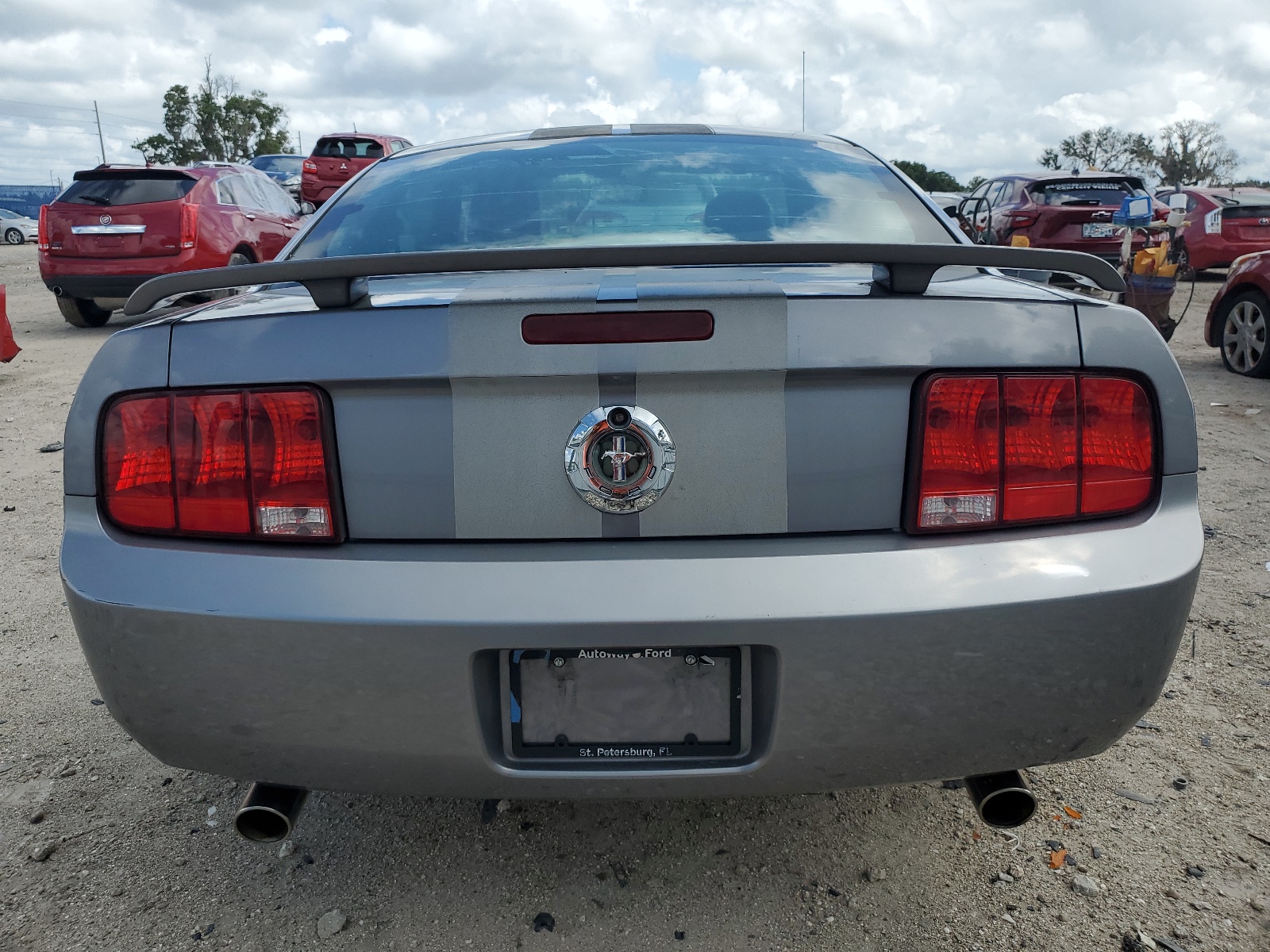1ZVHT80N365191538 2006 Ford Mustang