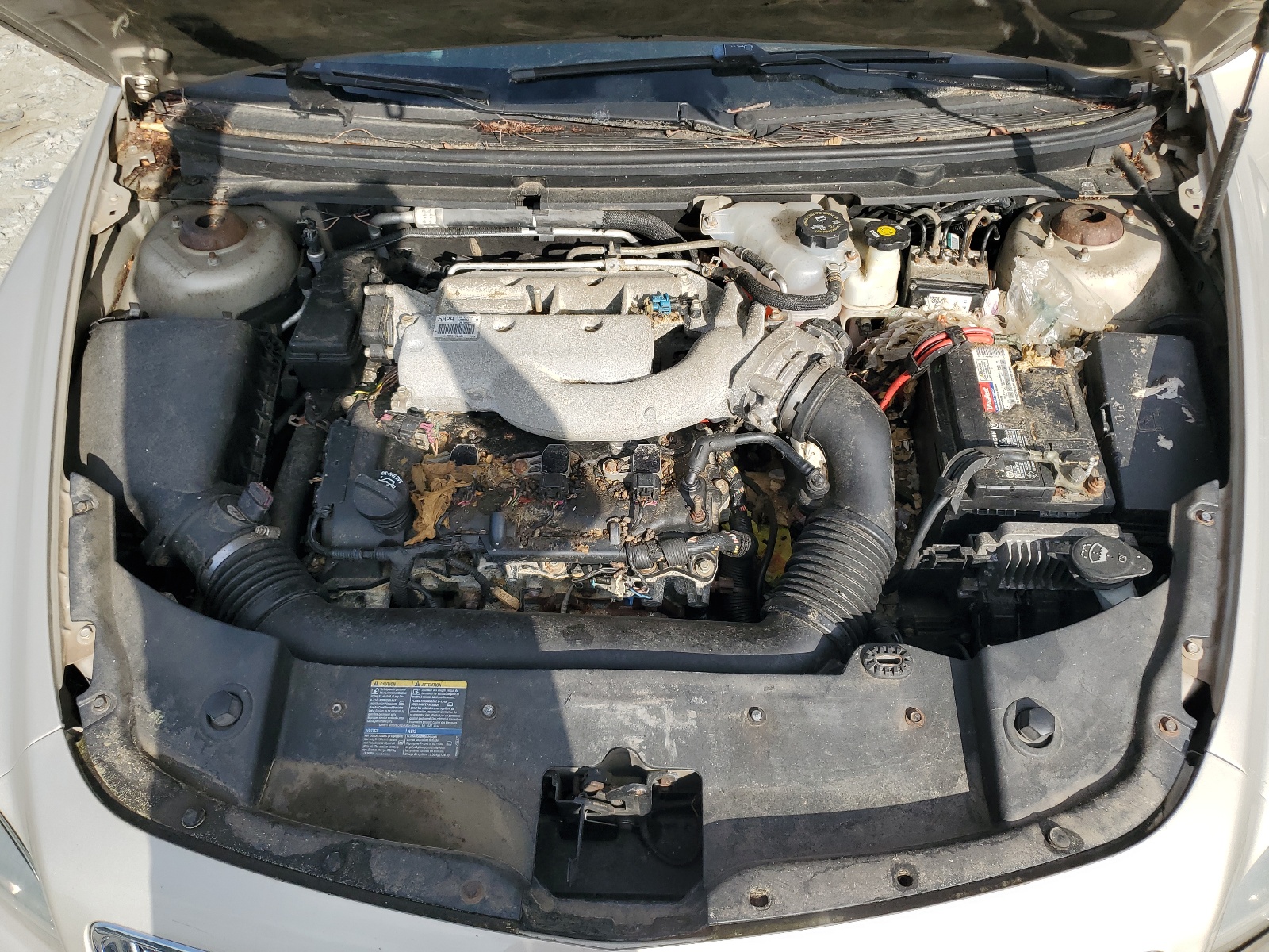 1G1ZJ577494188542 2009 Chevrolet Malibu 2Lt