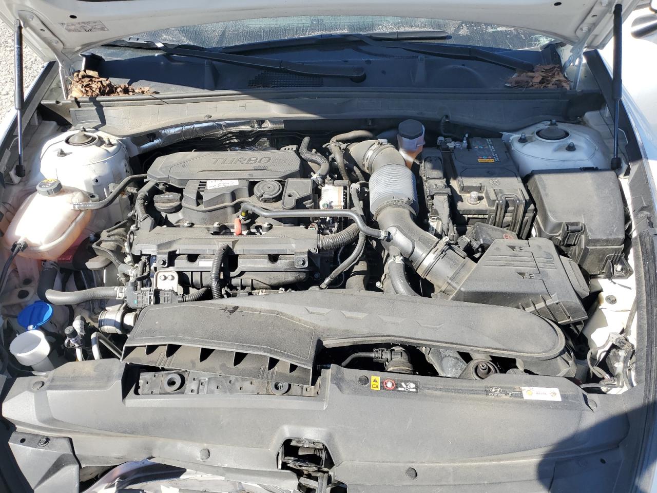 2022 Hyundai Sonata Limited VIN: KMHL34J22NA230678 Lot: 58172644