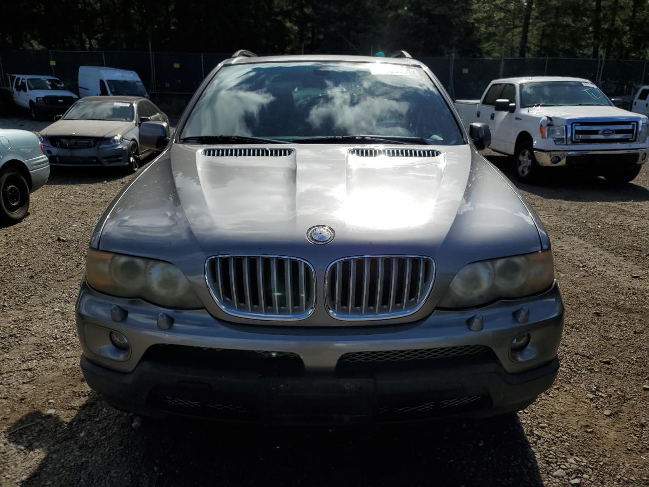 2005 BMW X5 3.0I VIN: 5UXFA13555LU46623 Lot: 61165664