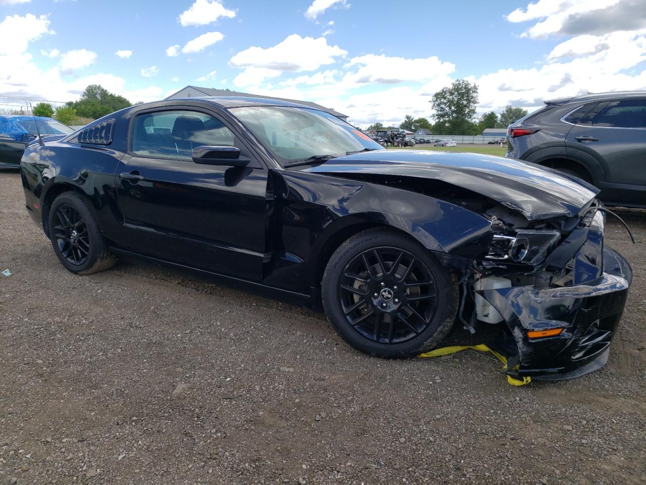 1ZVBP8AM8E5325796 2014 Ford Mustang