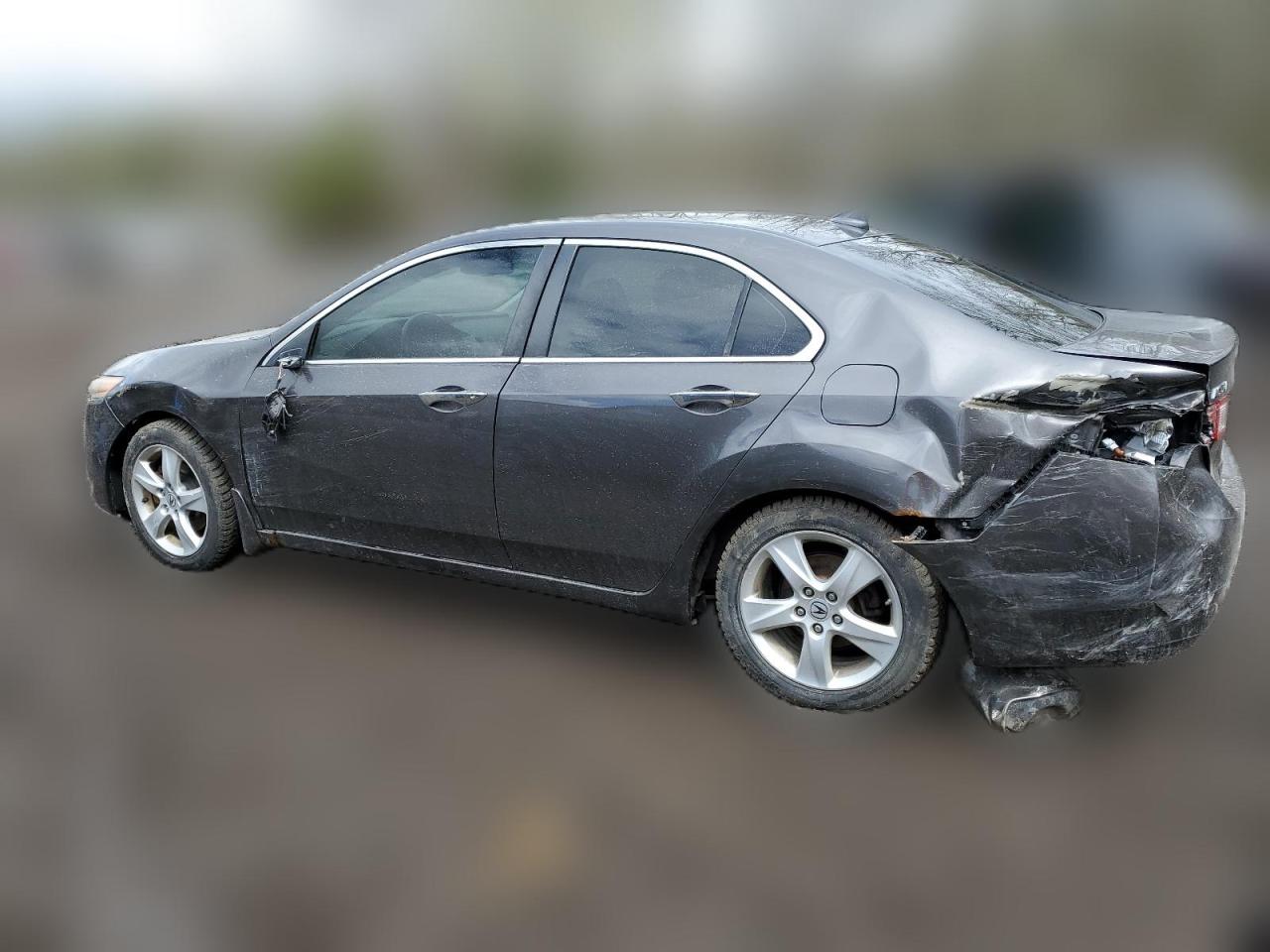 2009 Acura Tsx VIN: JH4CU26609C803653 Lot: 51774414