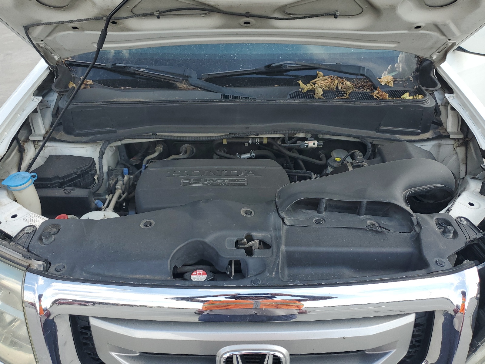 5FNYF4H5XBB077049 2011 Honda Pilot Exl