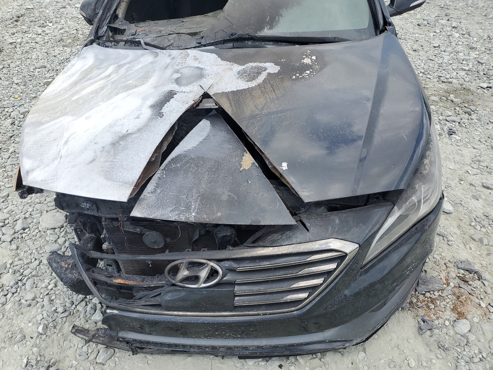 5NPE34AF8GH381553 2016 Hyundai Sonata Sport