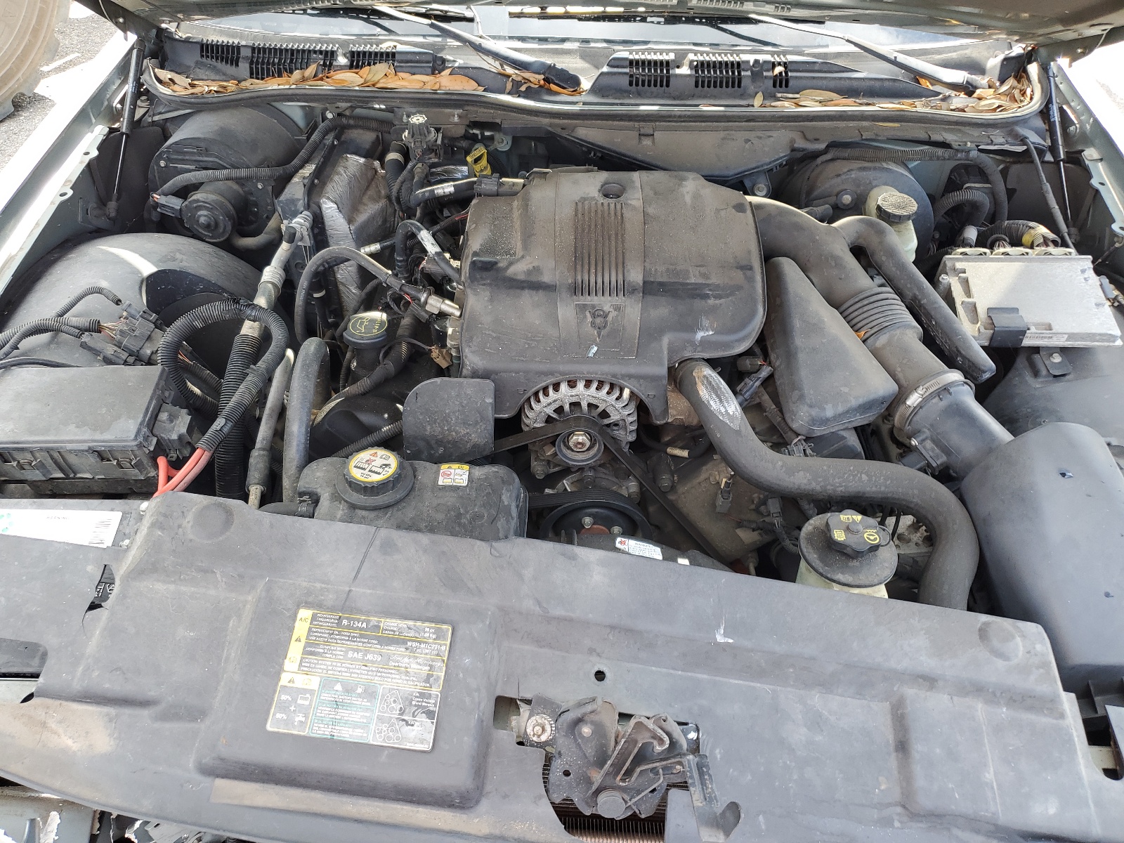 2FAFP74W46X131753 2006 Ford Crown Victoria Lx