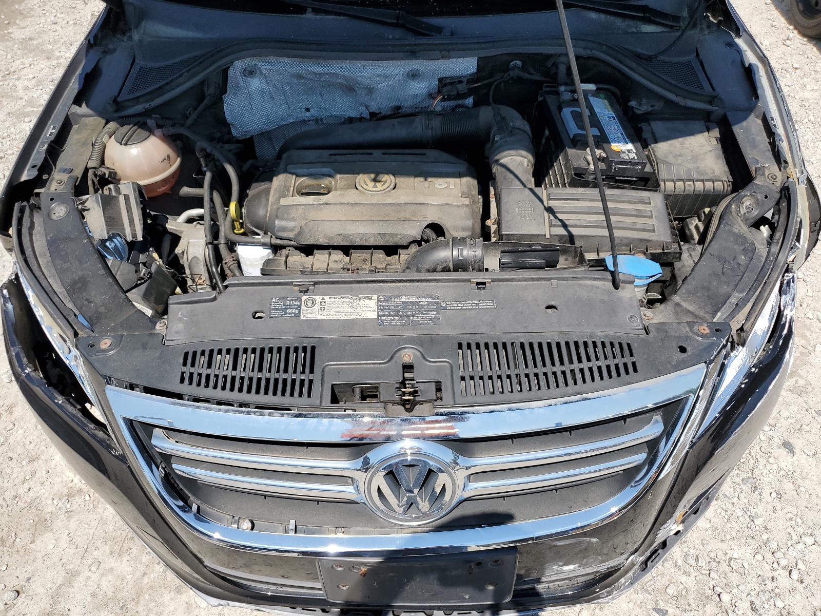 WVGBV7AXXAW530680 2010 Volkswagen Tiguan Se