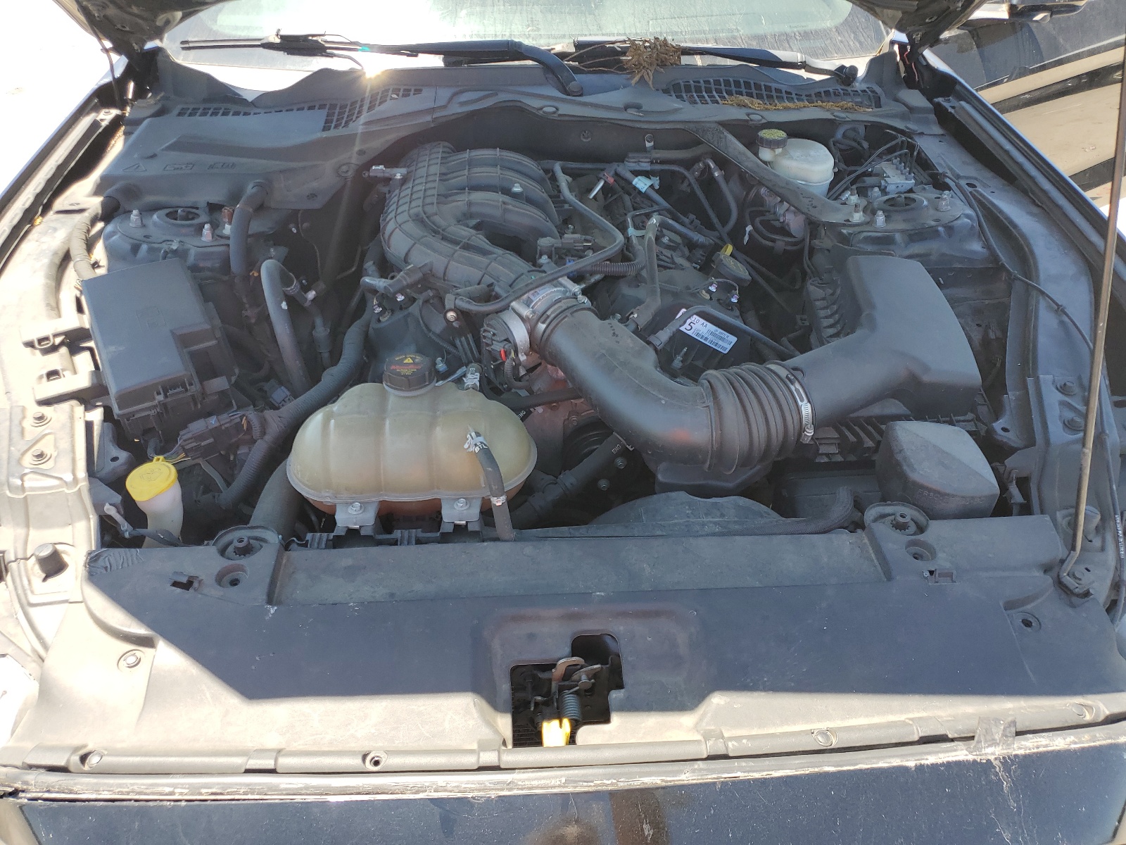 1FATP8EM4G5291964 2016 Ford Mustang