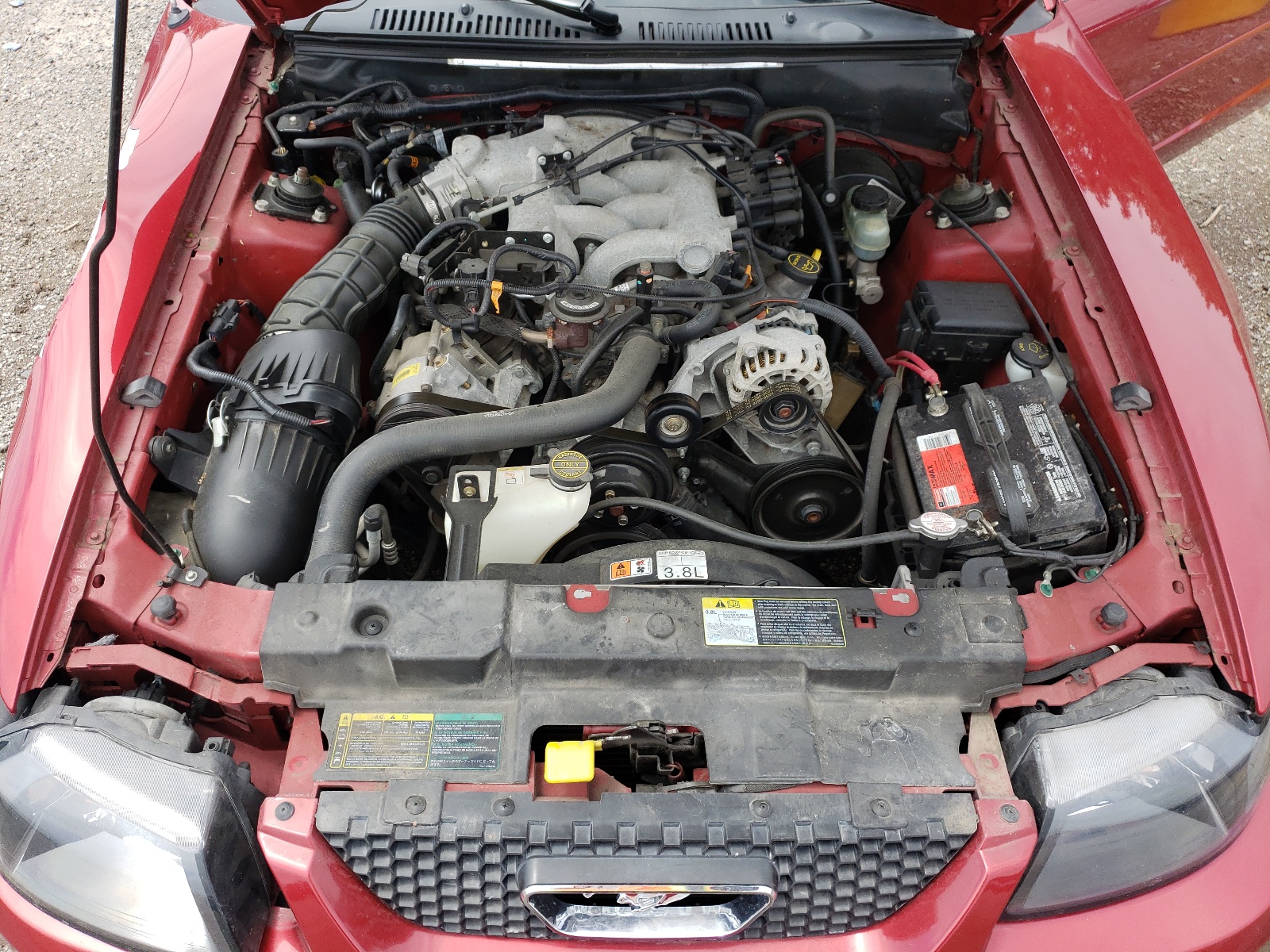 1FAFP44423F415306 2003 Ford Mustang