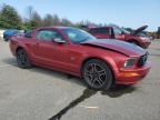 2005 Ford Mustang Gt en Venta en Brookhaven, NY - Missing/Altered Vin