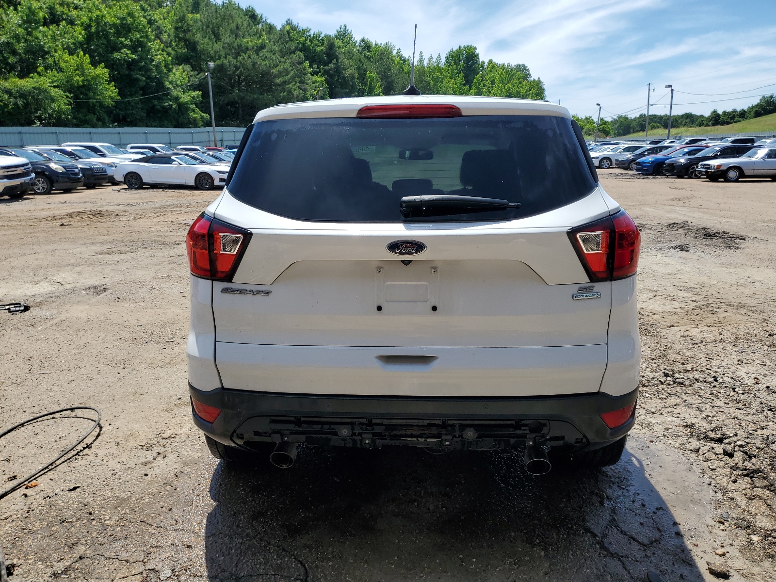 1FMCU0GD9KUC06659 2019 Ford Escape Se