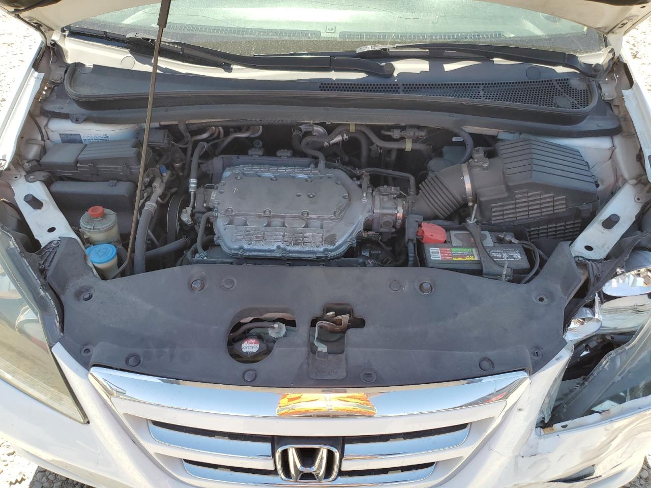 2007 Honda Odyssey Exl VIN: 5FNRL387X7B086091 Lot: 60724224