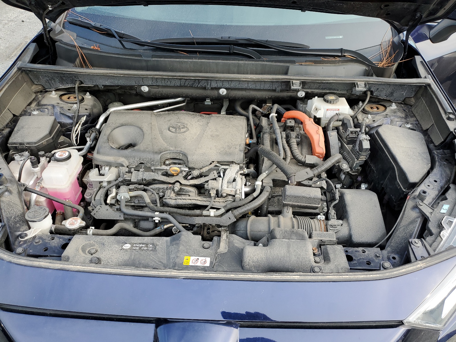 2T3RWRFV6LW057882 2020 Toyota Rav4 Xle